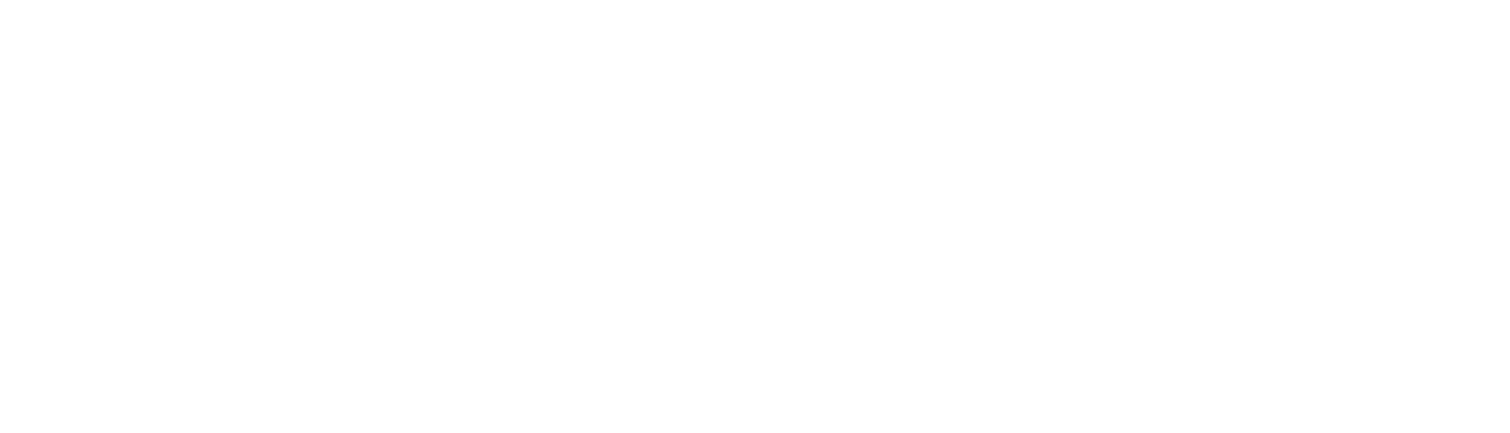 Gold Anchor Consulting LLC